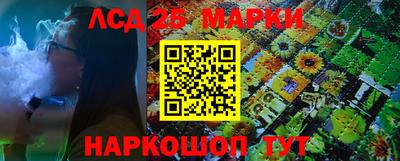 стаф Сланцы