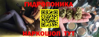 стаф Сланцы