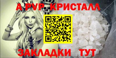 стаф Сланцы