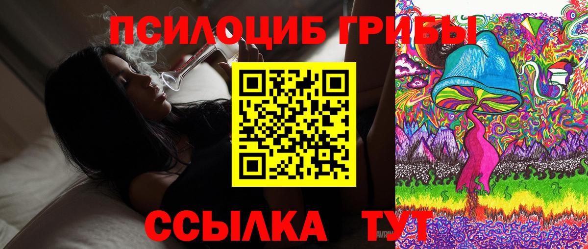 Псилоцибиновые грибы GOLDEN TEACHER  Галлюциногенные грибы GOLDEN TEACHER  Новоуральск  Вход с VPN 